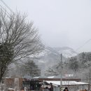 숲;79펜션 이미지