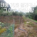 비안농장 이미지