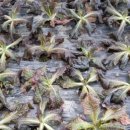 오기농장 이미지