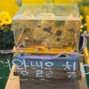 안성팜랜드 후기, 귀여움과 힐링이 한가득한 곳!