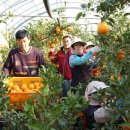 종남농장 이미지