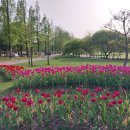 봄 향기 가득한 순천 국가 정원... 이미지