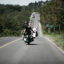 안녕, 펫 이미지