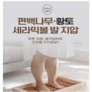 나무 세라믹