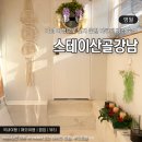 스테이산골강남 자쿠지힐링스파감성숙소 노천탕펜션 | 영월 자쿠지 감성 숙소 스테이산골강남 펜션 생일 기념 여행 추천