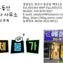 백호공인중개사사무소 이미지