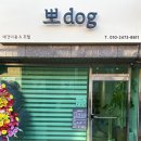 뽀dog 이미지