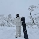 역앞 버스정류장(하행) | 부산에서 하이원 스키장 가는법! 완벽정리 새부산관광 은성관광 셔틀버스 예약 이용후기