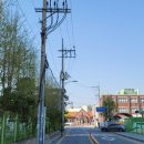 명륜여자중학교 이미지