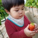 다은농장 이미지