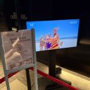 부산 여행 해운대 가볼만한 곳, 새단장한 엑스더스카이 전망대 후기