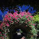 화산식육식당 이미지