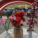 수원-0656 이미지