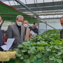 김기수농장 이미지