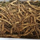 주용농장 이미지