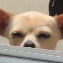 설빙 영등포점 | [영등포] 영등포역 양꼬치 맛집·연예인맛집 추천 / 양꼬치→설빙 두바이초코빙수 꿀조합코스 (내돈내산)