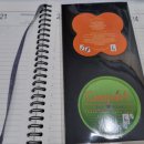 뚱뚜루 | 다이소 만년필 노트 2탄: 합격/애매/패스 11종 솔직 후기