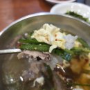 (주)금농 | 리센트 원이 추천 거제 맛집 금농갈비 갈비탕 주차장 위치