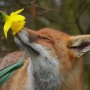 미래식당 이미지