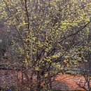 의령 안범준 고택 이미지