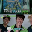 파도의 열창 스타뉴스