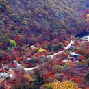 내장산관광안내소 이미지