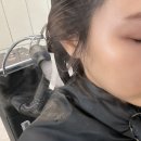 태형 | 야탑역 미용실 브린헤어 상한 머리 살리는 클리닉 후기 with 태형 디자이너