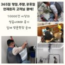 북성로-1 이미지