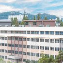 세화고등학교 이미지