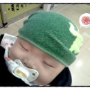 일일삼 네이버블로그