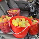 주월농장 이미지