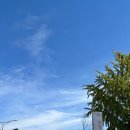 바링고빈스 이미지