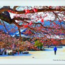 바람따라 이미지