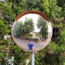 신효동-22 | 제주도 여행코스 3일 (제주 소품샵 플레이웍스 / 무무제주 / 서귀포 스타벅스 / 남매네흑돼지 / 오는정...