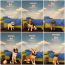 멍스 스쿨 이미지