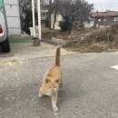 드론 국가자격증과정(무인멀티콥터3종) 이미지