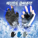 그루 이미지