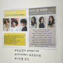 로이드밤 위례점 염색 후기| 여름쿨톤 염색 추천 매트브라운