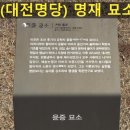 윤증묘소 이미지