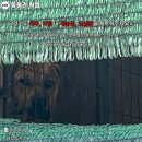 용종농장 이미지