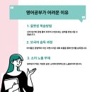영어 원어민 초급 이미지