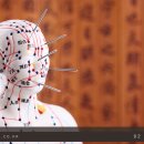 강남사슴농장 이미지