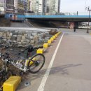 탄천변(탄천좌안) 이미지