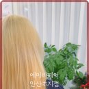 즐거운드라이세상 이미지