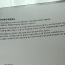 동요문화 주식회사 이미지
