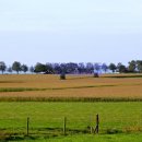 공장박사공인중개사사무소 이미지