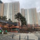 수지디시