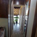 클로리스 이미지