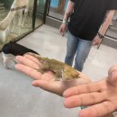 807 | 수원 실내 놀거리 데이트 추천ㅣ기대 이상으로 만족스러웠던 수원 실내 동물원 내돈내산 솔직후기 (+) 주차