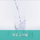 마도고시텔